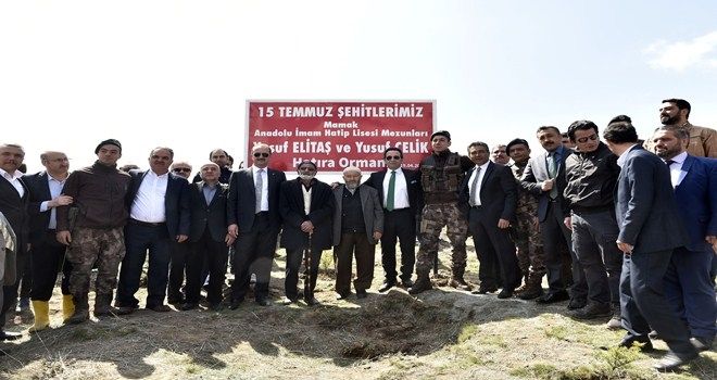 Şehitler adına hatıra ormanı