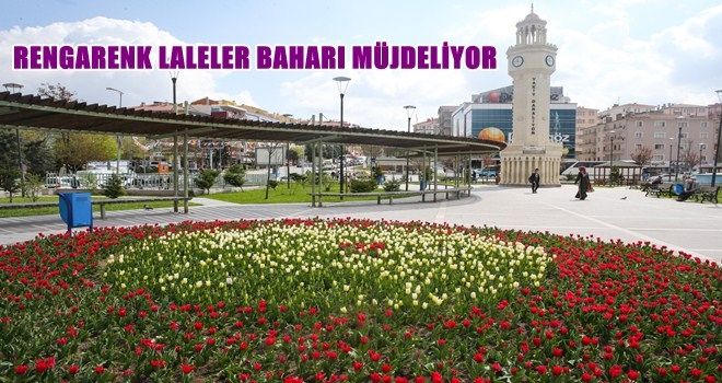 SİNCAN´DA LALELER BAHARI MÜJDELİYOR