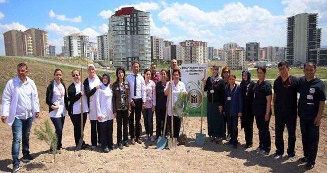 Hemşireler Günü´ne Karaçam hediyesi