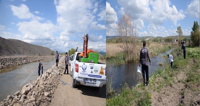 Kahramankazan´da haşere ile mücadele teyakkuzu