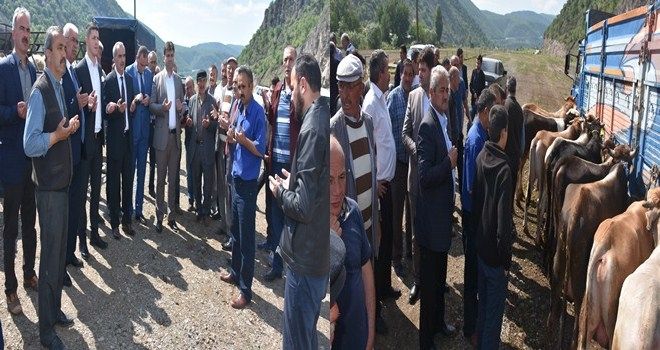 KIZILCAHAMAM´A CANLI HAYVAN PAZARI AÇILDI