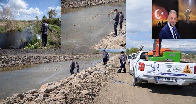 Haşere ile mücadeleye tam gaz devam