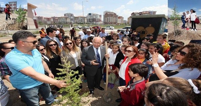 Harçlıklar ağaca döndü