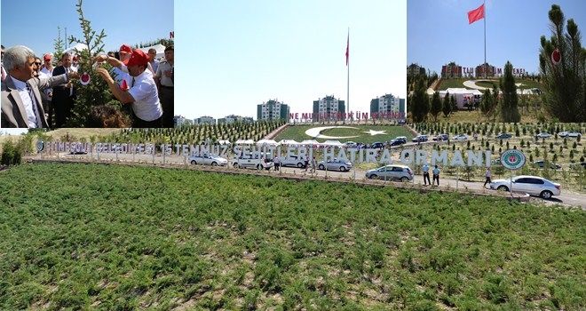 249 ŞEHİDİN HATIRASINA 6 BİN 249 AĞAÇLIK ORMAN
