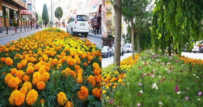 SİNCAN´IN HER YANI ÇİÇEK BAHÇESİ