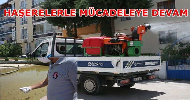 HAŞERELERLE MÜCADELEDE YOĞUN MESAİ