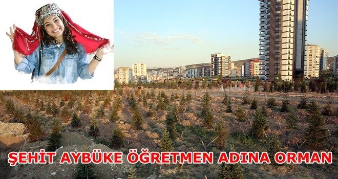 ŞEHİT AYBÜKE ÖĞRETMEN ETİMESGUT´TA YAŞAYACAK