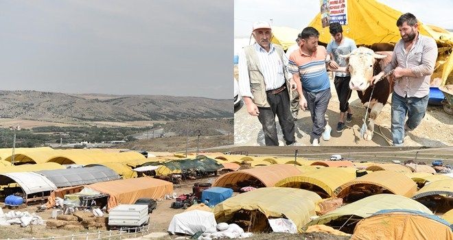 Mamak Kurban Bayramına Hazır