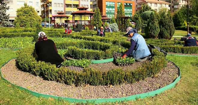 KEÇİÖREN MENEKŞE KOKUYOR