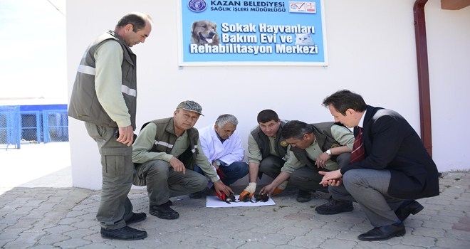 Sokaktaki dostlarımızın sıcak yuvası