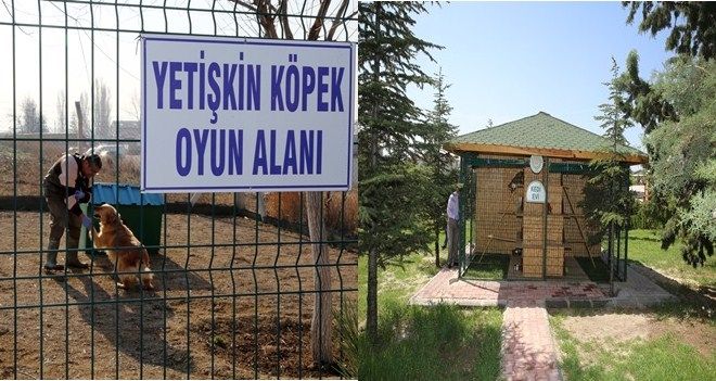 HAYVAN DOSTU ŞEHİR: ETİMESGUT