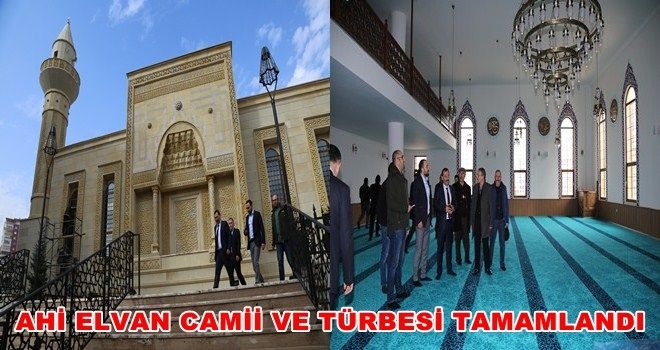 ETİMESGUT´A ÇOK YAKIŞTI