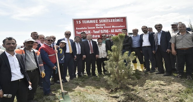 Afrin Şehitleri Anısına Bin Ağaç dikildi