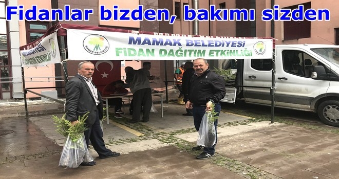 Mamak Belediyesi ücretsiz fidan dağıtıyor