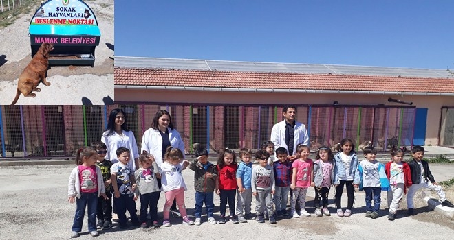 Hayvanları severek beslediler