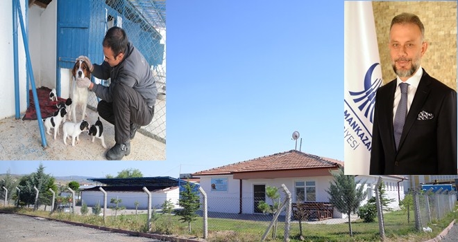 Dostlarımız yeni yuvalarını bekliyor