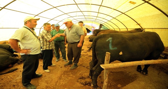 Başkentliler Yakacık´ta pazarlığa tutuştu