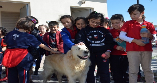 ÇOCUKLAR MİNİK DOSTLARLA BULUŞTU