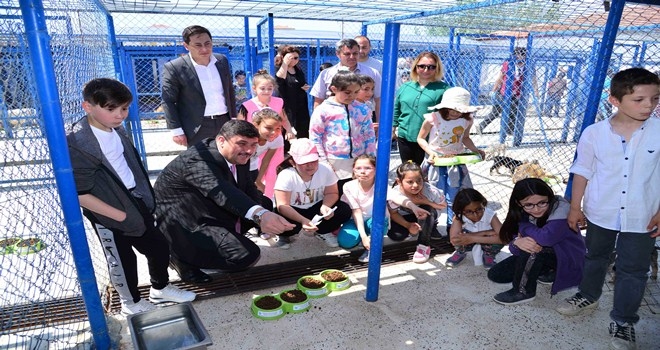 Can dostlarımızın sıcak yuvası