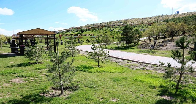 10 YILDA YEŞİL ALAN YÜZDE 220 ARTTI