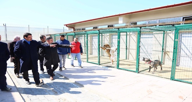 BAŞKAN AK YENİ HAYVAN BARINAĞINI İNCELEDİ