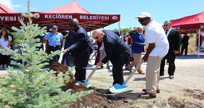 ÇEVREMİZİ, DOĞAMIZI VE AĞAÇLARIMIZI KORUMALIYIZ 
