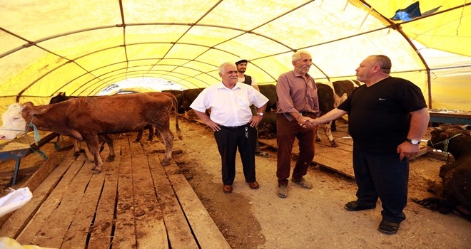 Yakacık´ta kurban pazarlığı başladı