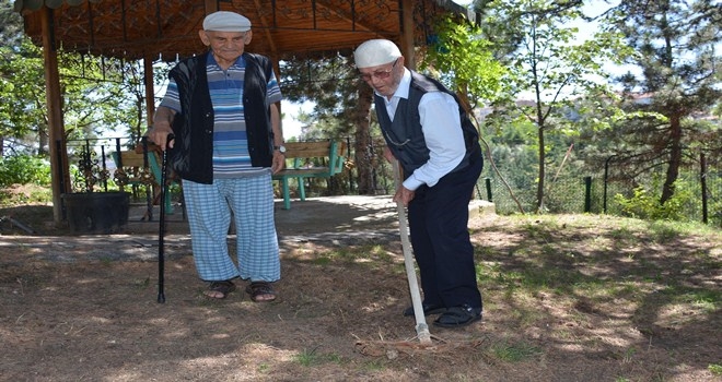 YAŞLILAR İÇİN HOBİ BAHÇESİ 