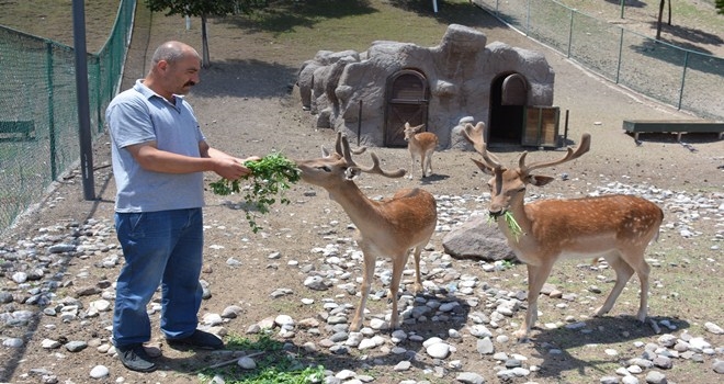 HAYVANAT BAHÇESİNE YENİ DOSTLAR GELİYOR