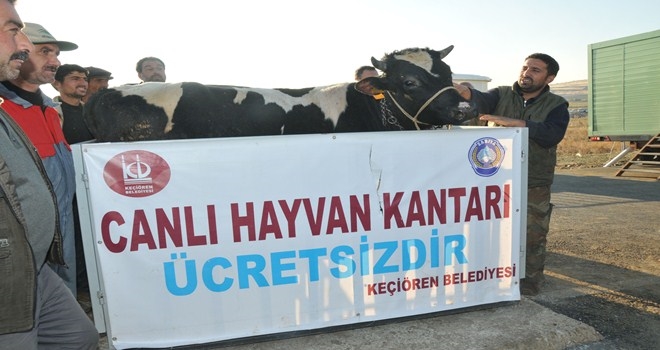 KURBAN SATIŞ YERLERİ İÇİN BAŞVURULAR BAŞLADI