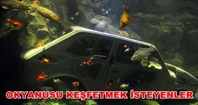 BOZKIRIN ORTASINDA DENİZ DÜNYASI