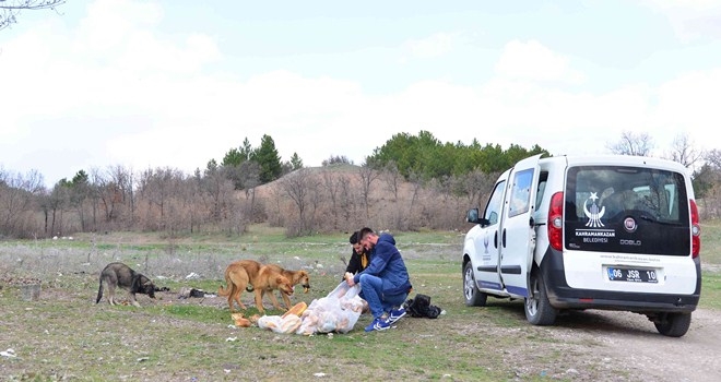 Dostlarımız için mama ve su bırakılıyor