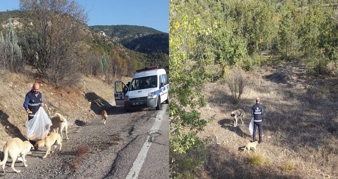 Kızılcahamam´da Sevimli Patiler Sahipsiz Değil