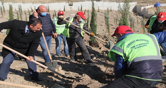 ETİMESGUT BELEDİYESİ´NDEN MİLLİ AĞAÇLANIDIRMA SEFERBERLİĞİ´NE 2020 AĞAÇLIK DESTEK