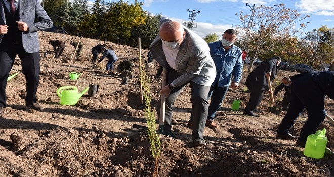 Geleceğe nefes için Kızılcahamam´da 30 Bin fidan toprakla buluştu