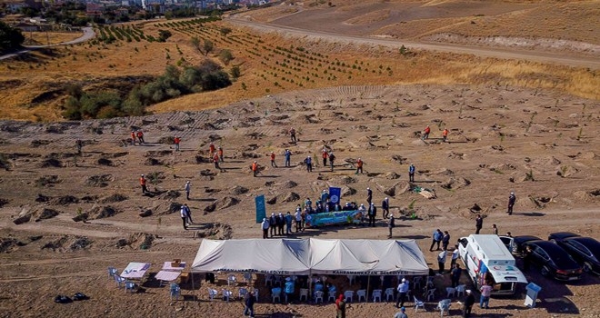Kahramankazan´dan Hatay´a 20 bin fidan bağışı