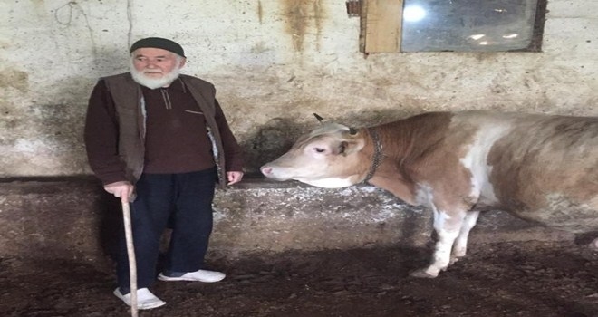 Kızılcahamam´da ORKÖY projesiyle 32 haneye  1 milyon 045 bin 280 TL. kredi desteği verildi