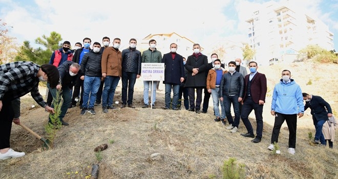 Gençliğe özel hatıra ormanı