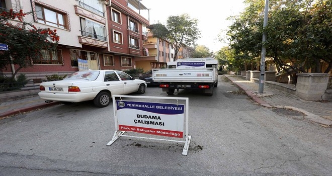 Yenimahalle´de ağaçlara kış bakımı