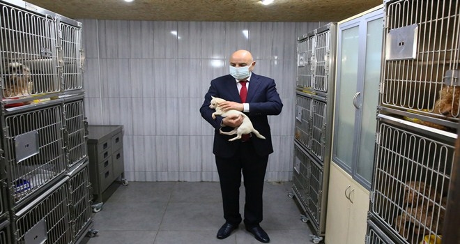 KEÇİÖREN´DEKİ KÖPEKLERİ SAHİPLENMEK İÇİN YOĞUN TALEP 