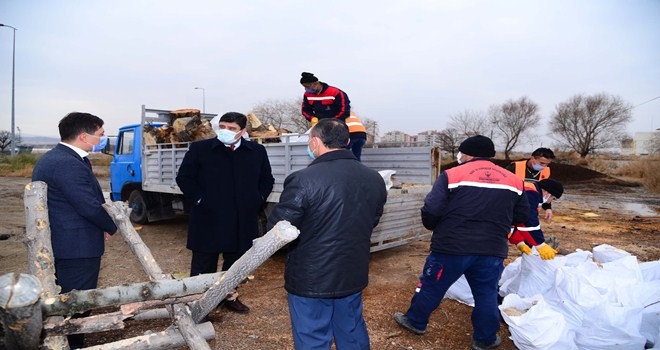 Budanan odunlar ihtiyaç sahiplerine dağıtılıyor