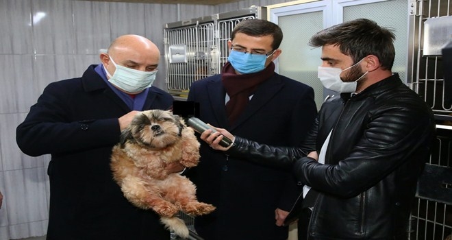 68 ADET CİNS KÖPEK KEÇİÖREN BELEDİYESİ KORUMASINDA 