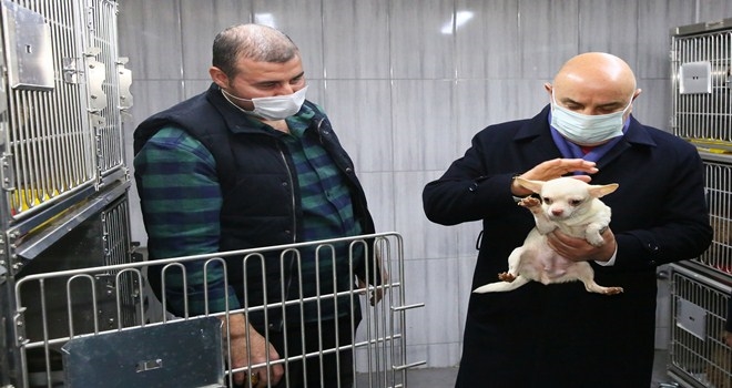 KEÇİÖREN´DEKİ KÖPEKLER TEDAVİLERİ TAMAMLANINCA SAHİPLENDİRİLECEK 