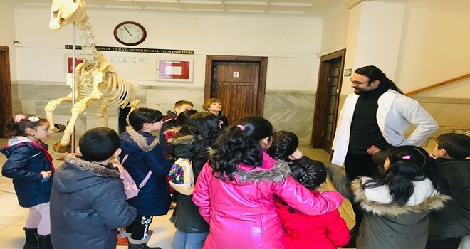 200 ÖĞRENCİ 5 AYRI MÜZEYİ ZİYARET ETTİ