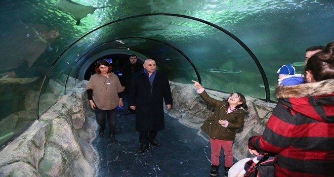 DENİZ DÜNYASI VE DOĞAL YAŞAM PARKINA YOĞUN İLGİ