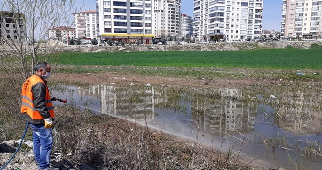 Yenimahalle Belediyesi´nden haşere önlemi