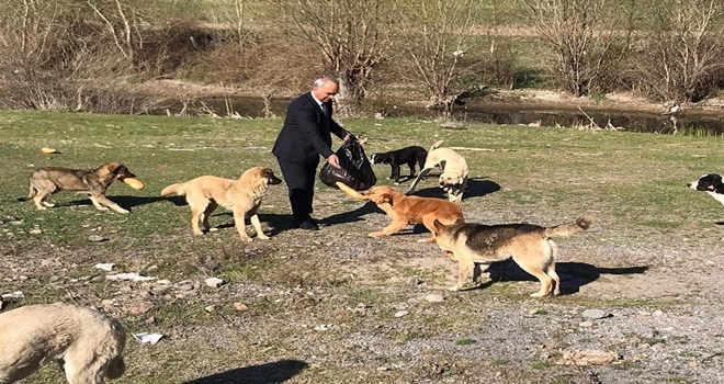 Sokağa Çıkma Yasağında, Sokaktaki Dostlar Unutulmadı