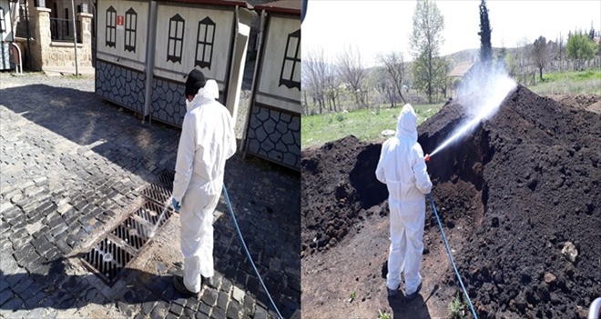 Larva Dönemi İlaçlama Çalışmaları Başladı