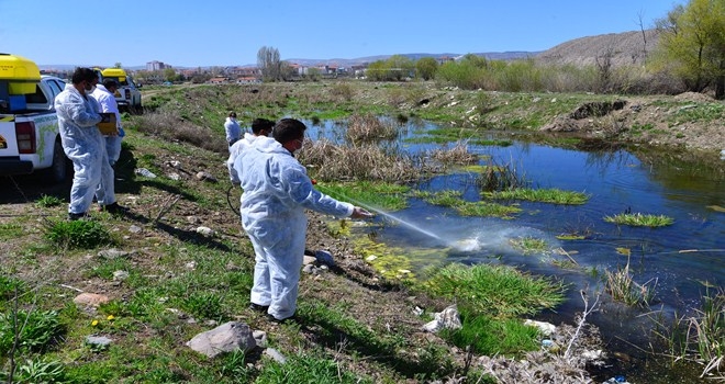 Kötü koku ve haşerelere savaş açıldı