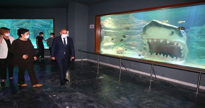 OKYANUS VE DENİZLERİN BAŞKENTTEKİ ADRESİ, KEÇİÖREN DENİZ DÜNYASI 